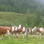 Gospodarstwo agroturystyczne Bauernhof Unterbichl *