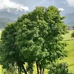 Gospodarstwo agroturystyczne Bauernhof Unterbichl Flachau