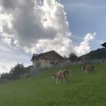 Bauernhof Unterbichl * Flachau