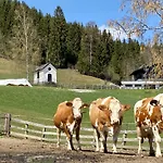 Bauernhof Unterbichl Gospodarstwo agroturystyczne