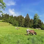 Bauernhof Unterbichl Gospodarstwo agroturystyczne Flachau