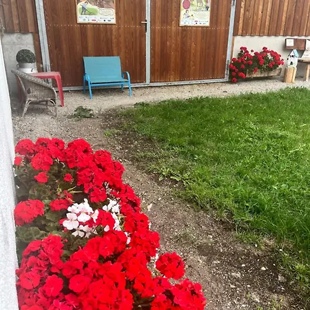 堡恩霍夫安特比契尔酒店 弗拉绍