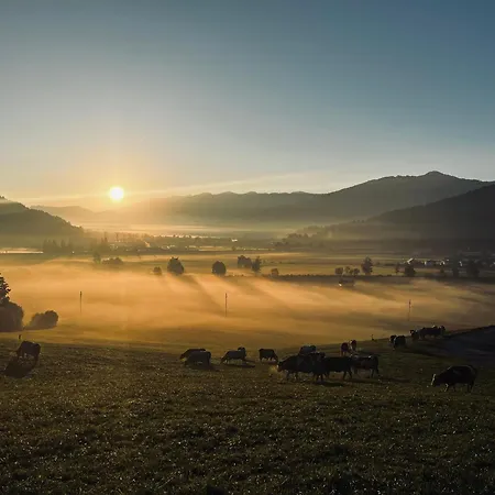 Bauernhof Unterbichl Gospodarstwo agroturystyczne *