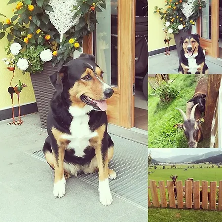 堡恩霍夫安特比契尔酒店 农家乐