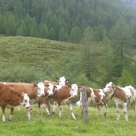 Farmház Bauernhof Unterbichl *