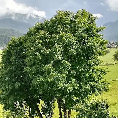 Farmház Bauernhof Unterbichl Flachau