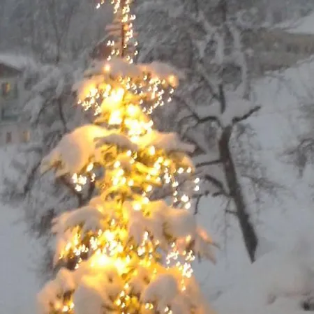 堡恩霍夫安特比契尔酒店 *