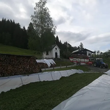 Bauernhof Unterbichl Farma Flachau
