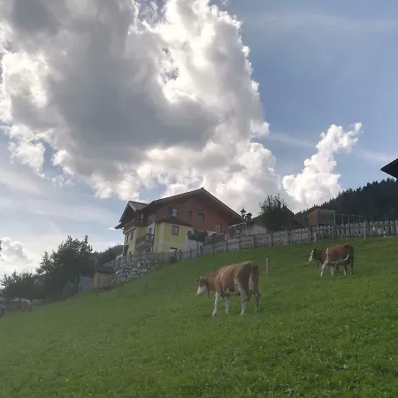 Bauernhof Unterbichl * Flachau
