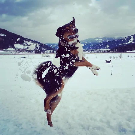堡恩霍夫安特比契尔酒店