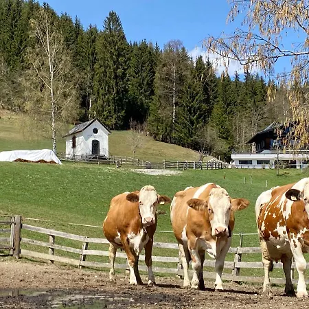 Bauernhof Unterbichl Gospodarstwo agroturystyczne