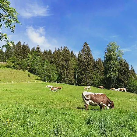 Bauernhof Unterbichl Farmház Flachau