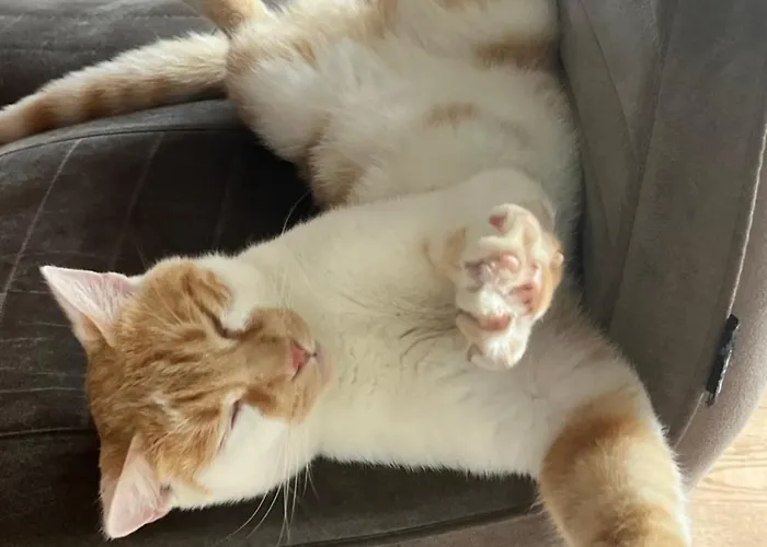 Bauernhof Unterbichl Farmház *