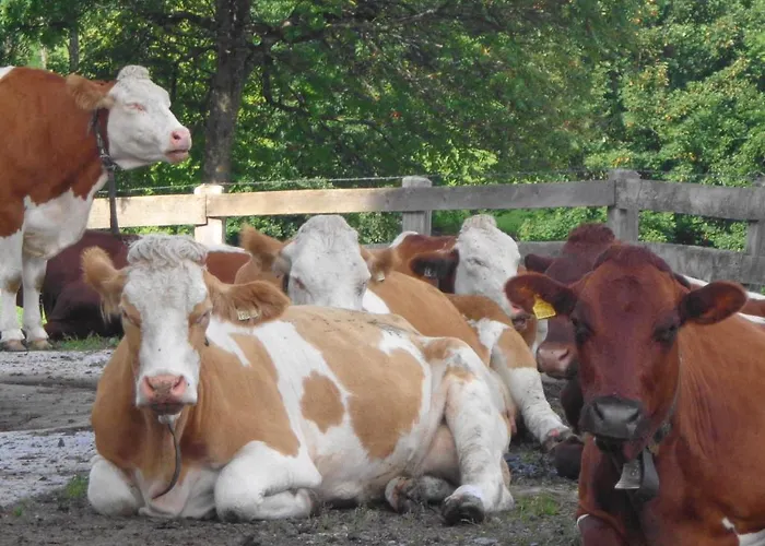 Bauernhof Unterbichl Farmház *