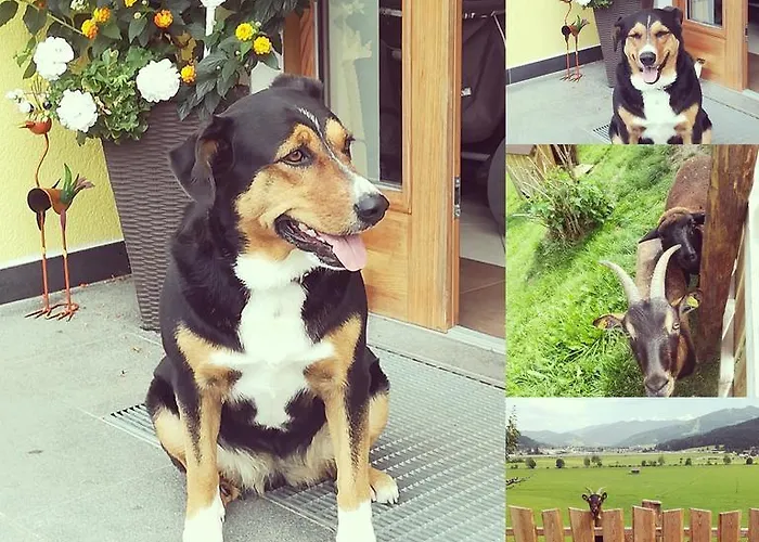 Bauernhof Unterbichl Lantgård