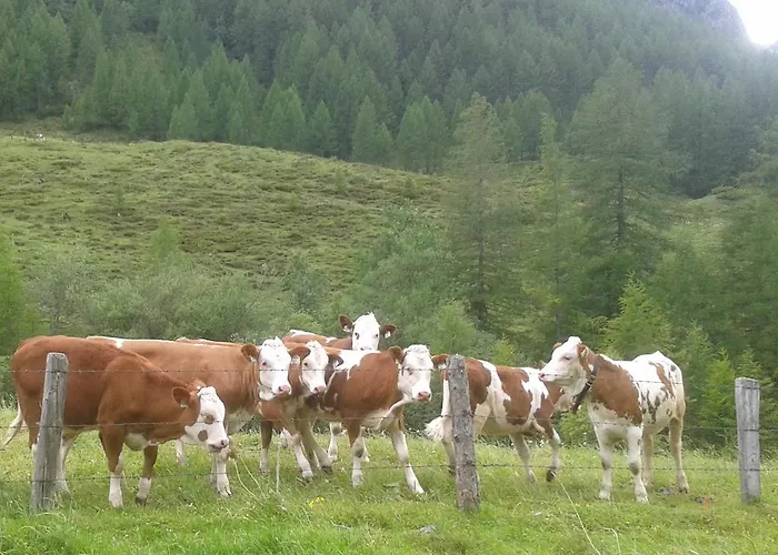 Lantgård Bauernhof Unterbichl *