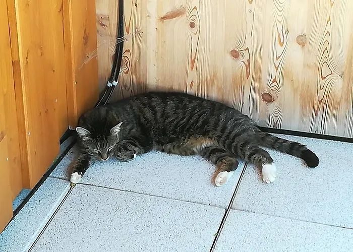 Farmház Bauernhof Unterbichl *