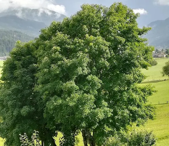 Farmház Bauernhof Unterbichl Flachau
