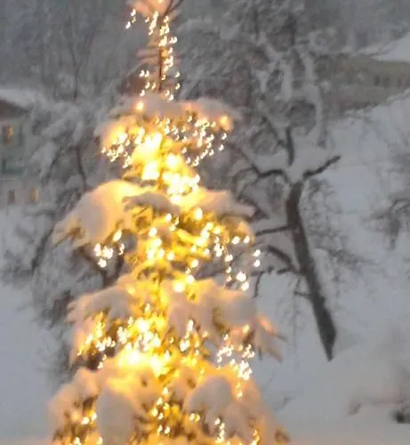 Bauernhof Unterbichl *