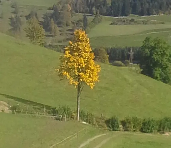 Bauernhof Unterbichl Farm stay