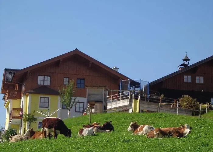 Bauernhof Unterbichl * Flachau