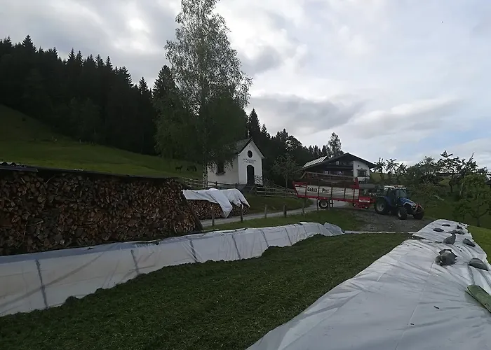 Bauernhof Unterbichl Gospodarstwo agroturystyczne Flachau