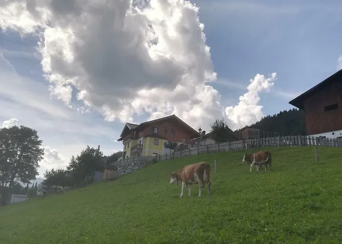 Bauernhof Unterbichl * Flachau