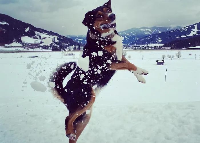 Bauernhof Unterbichl
