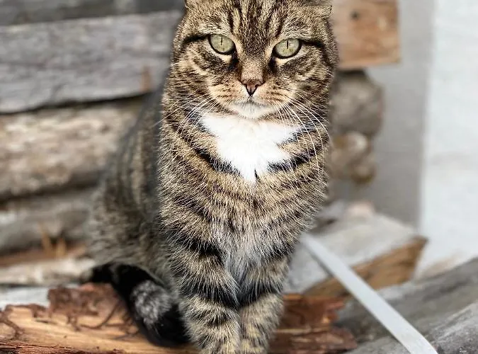 Bauernhof Unterbichl