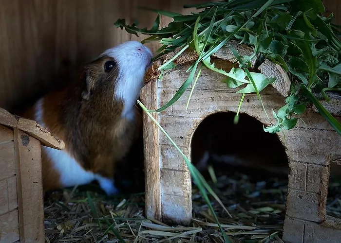 Bauernhof Unterbichl *