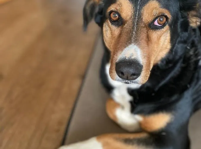 Gospodarstwo agroturystyczne Bauernhof Unterbichl *