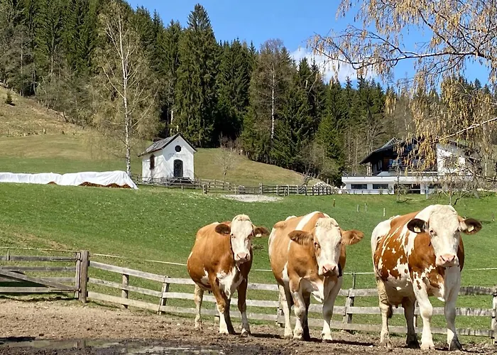 Bauernhof Unterbichl Gospodarstwo agroturystyczne