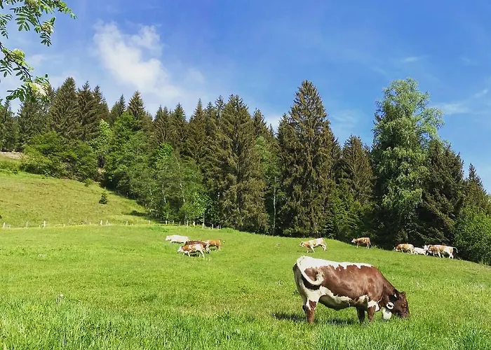 Bauernhof Unterbichl Gospodarstwo agroturystyczne Flachau